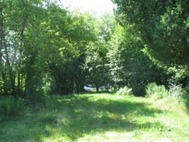 ON Lake Dr, Three Lakes, WI 54562