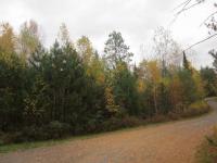 2927 Owls Nest Ln, Conover, WI 54521
