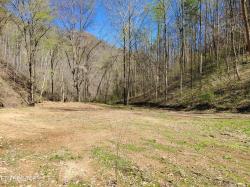 7044 Caney Valley Rd Tazewell, TN 37879