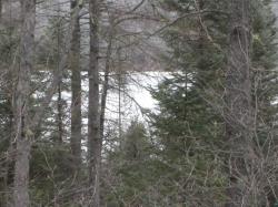 40 acre Lot #3 County Rd L Hawthorne, WI 54874