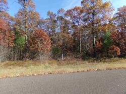 TBD Lot 4 Smith Dr Solon Springs, WI 54873