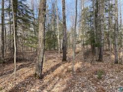 South 15 acres Mckinley Rd Washburn, WI 54891