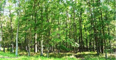 JAE Lot049 Kickapoo Drive Hazle Twp, PA 18202