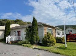 317 N Hunter Highway Drums, PA 18222