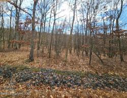 LV Lot 217 Red Bud Drive Hazle Twp, PA 18202