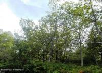 TW 247 Butternut Lane, Hazle Twp, PA 18202
