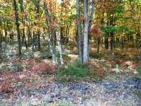 Lot 200 Pocahontas Drive, Hazleton, PA 18202