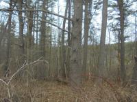 2 Loyalville Rd, Dallas, PA 18612