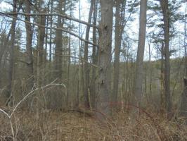2 Loyalville Rd, Dallas, PA 18612