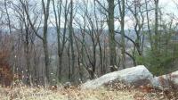 Lot 09 Ws West Summit, Hazleton, PA 18202