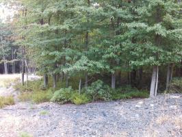 154 WSS7 Mid Summit Drive, Hazleton, PA 18202