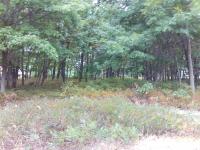391 EH Birkdale Court, Hazle Twp, PA 18202