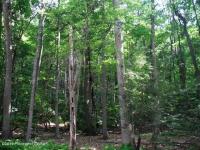 245 RVW Dakota Drive, Hazle Twp, PA 18202