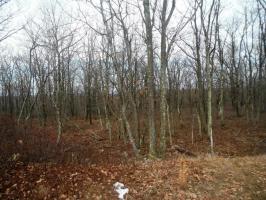 LV 374 Buttonbush Lane, Hazle Twp, PA 18202