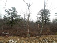MV 645 Red Mountain Road, Hazle Twp, PA 18202