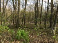 124 Sugarloaf Heights Road, Drums, PA 18222