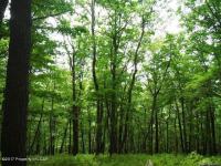 WS 278 Corral Road, Hazleton, PA 18202