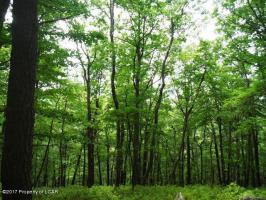 WS 278 Corral Road, Hazleton, PA 18202