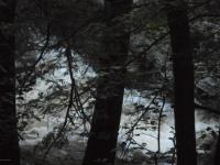 Main Rd, Shickshinny, PA 18655