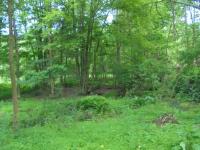 Cragle Hill Rd, Shickshinny, PA 18655