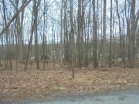 170 Grouse Ridge Ln, Drums, PA 18222
