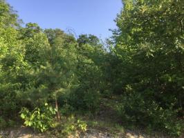 MV 47 Appalachian Way, Hazle Twp, PA 18202