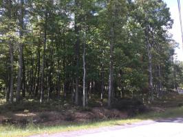 049 Silver Cloud Lane, Hazleton, PA 18202