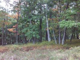 EH 391 Birkdale Court, Hazle Twp, PA 18202