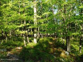 ER II 420 Crooked Stick Lane, Hazle Twp, PA 18202
