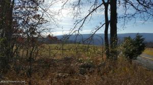 Buck Mountain, Zion Grove, PA 17985