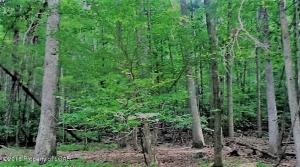 EA Lot 273 Algonquin Drive, Hazleton, PA 18202