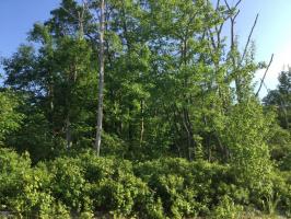 MV 137 Green Mountain Road, Hazle Twp, PA 18202