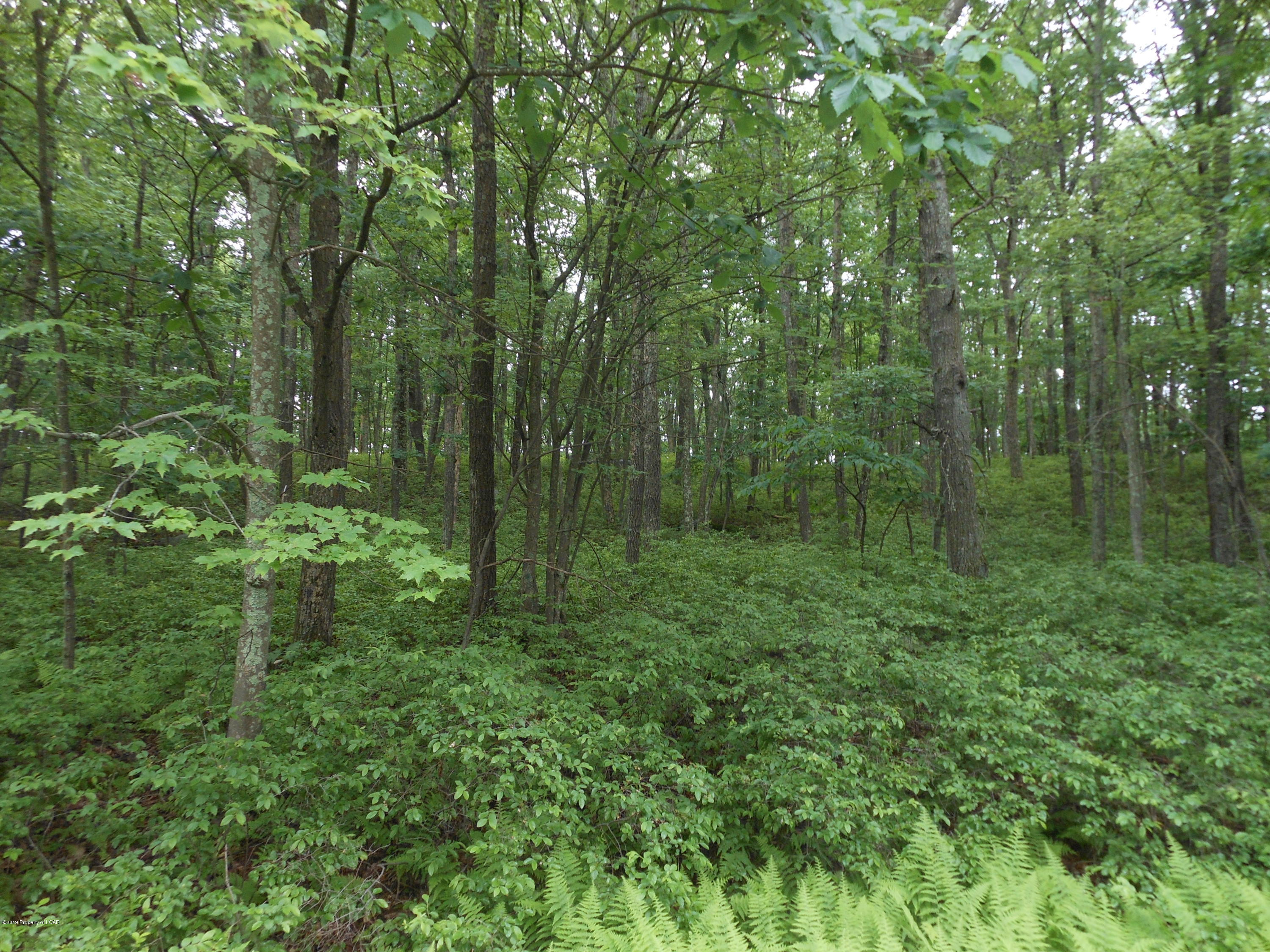 Bear Creek Pa >> Mls 19 3905 Lot 31c Lewin Lane Bear Creek Pa 18702 Bear Creek Pa >> Mls 19 3905 Lot 31c Lewin Lane Bear Creek Pa 18702