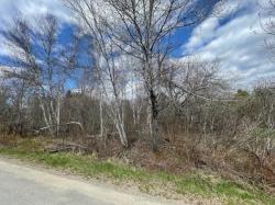 Lot F Mountain View Drive Baileyville, ME 04694