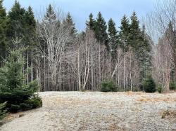 Lot 30 Pineo Road Roque Bluffs, ME 04654