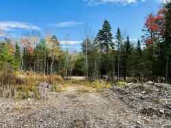 Lot 25 Pine Tree Road Brewer, ME 04412