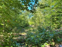 00 Libby, Lot #6 Road Newfield, ME 04056