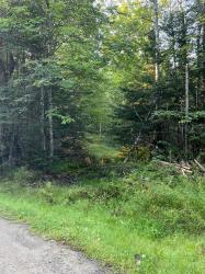 Map41Lot1 Wendy Acres Drive Hermon, ME 04401