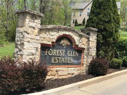 2854 Forest Glen Drive Pacific, MO 63069