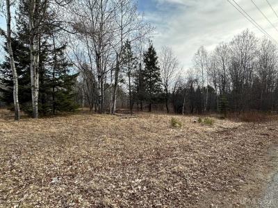 FEATURE FRIDAY!  New listing! TBD W. Division St, Iron River, MI  49935 - $25,000