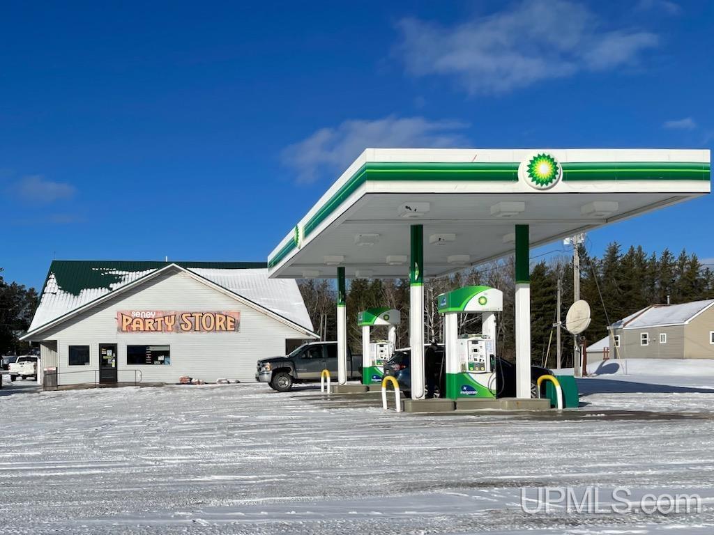 MLS 50129850 1710 Fox River Road Seney, MI 49883