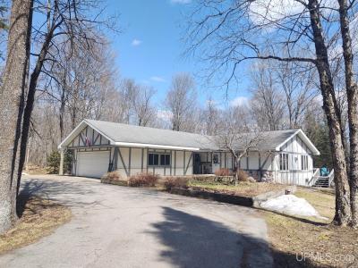 FEATURE FRIDAY!  141 Anderson Road, Iron River, MI  49935 - $239,000