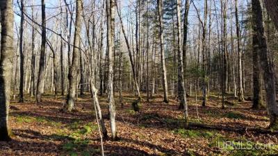 NEW LISTING!  Hunting Land!  36.6 acres of vacant land, Hwy US 2, Iron River, MI  49935 - $72,500