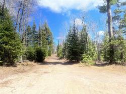 480 Acres Off Cr Aaa Road Michigamme, MI 49861