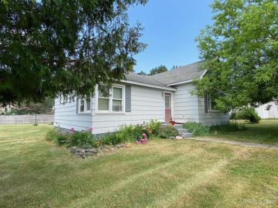 FEATURE FRIDAY!  303 Homer Road, Iron River, MI  49935 - $67,500