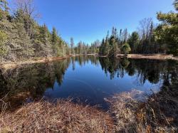 TBD 15 Acres Green Road Michigamme, MI 49861-0000