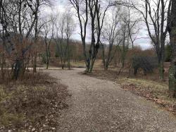 4097 East Shore Road Florence T-Wi, WI 54121