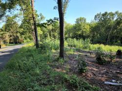 Lot 6 Cold Hill Rd Granby, MA 01033
