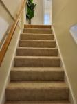 14 Robey Street 14 Boston, MA 02119