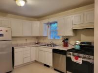 14 Robey Street 14 Boston, MA 02119